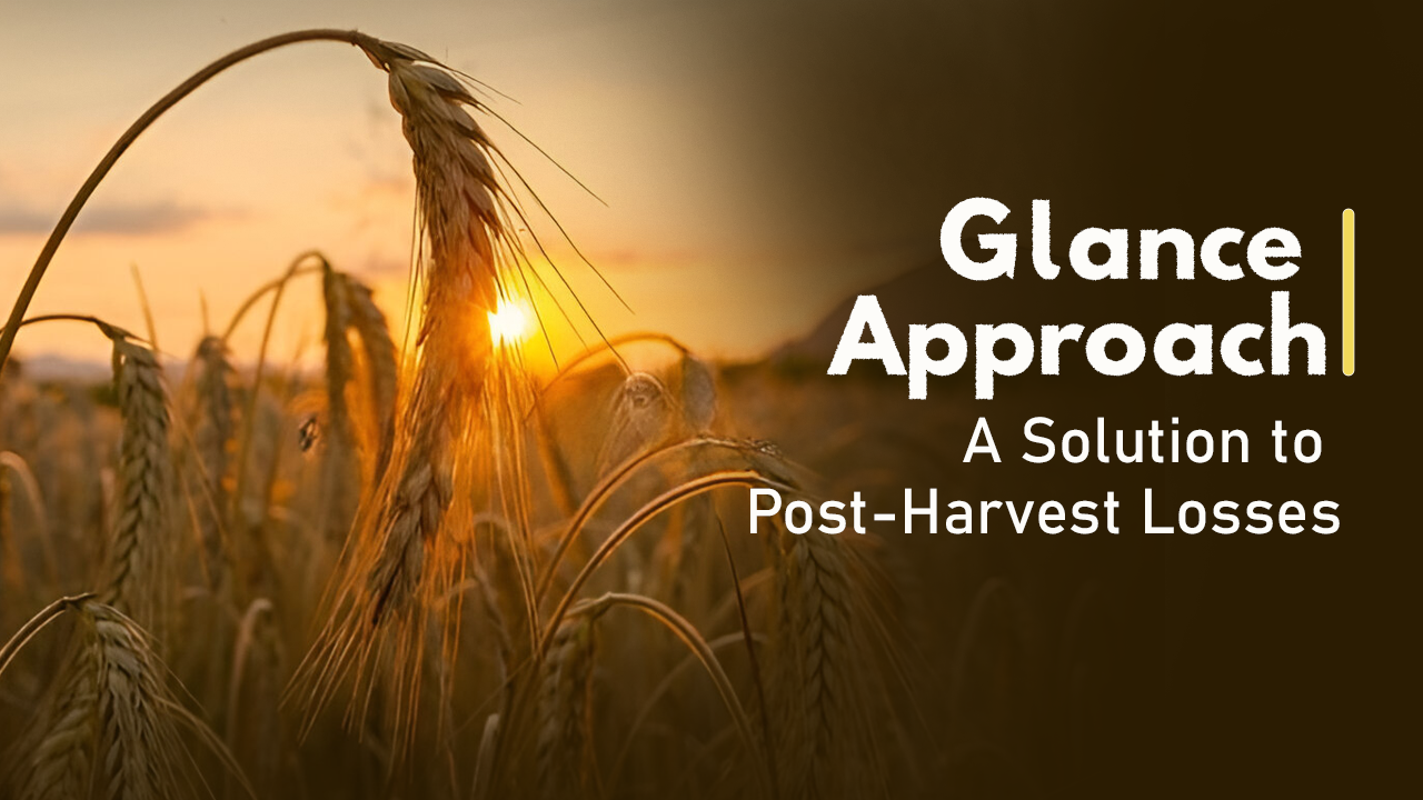 Glance Approach: A Solution to Cutting Post-Harvest Losses